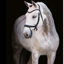 Schockemöhle SP Equitus Alpha